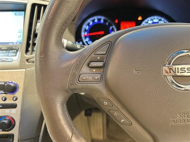 Nissan SKYLINE 2008 7109419-10