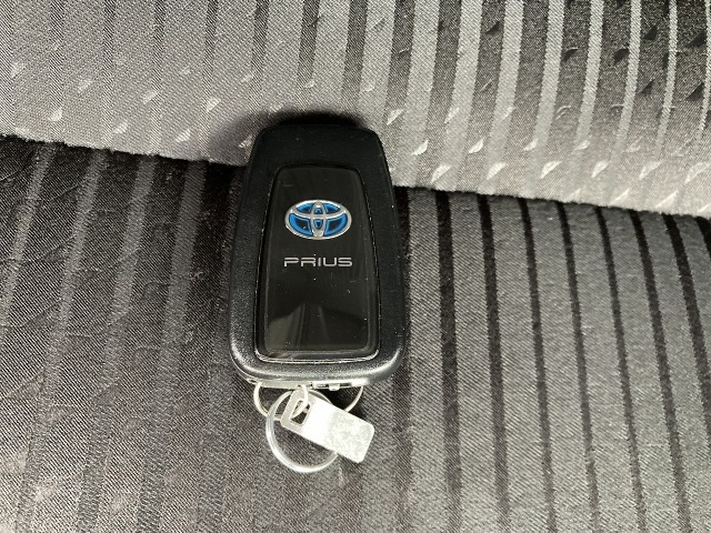 Toyota PRIUS 2019 7136798-28