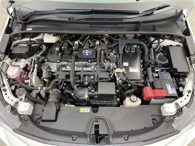 Toyota COROLLA TOURING 2021 7174453-14