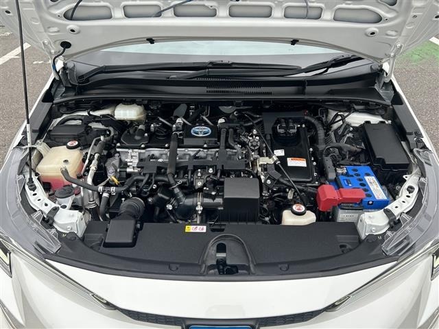 Toyota COROLLA TOURING 2020 7174811-14