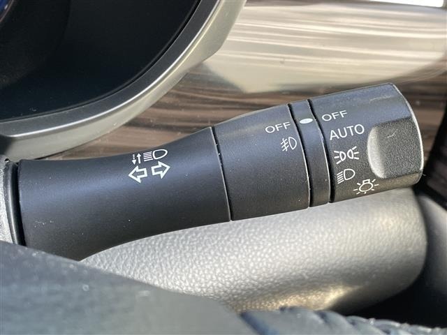 Nissan ELGRAND 2014 7168180-2