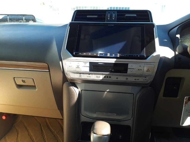 Toyota LAND CRUISER PRADO 2020 7166250-12