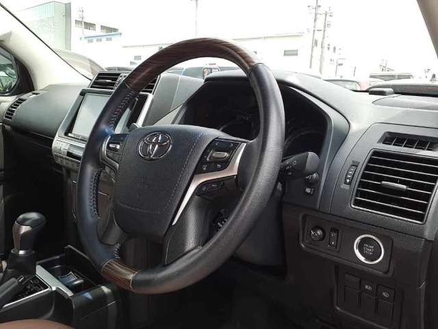 Toyota LAND CRUISER PRADO 2021 7166319-9