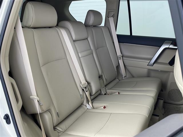 Toyota LAND CRUISER PRADO 2023 7166554-13