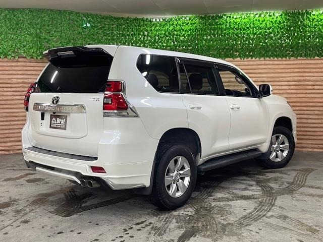 Toyota LAND CRUISER PRADO 2020 7166582-13