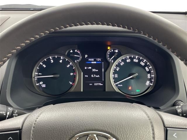 Toyota LAND CRUISER PRADO 2023 7166716-22