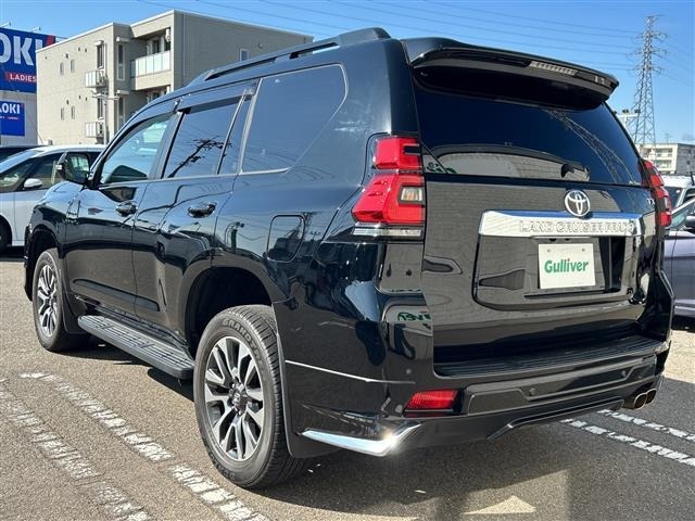 Toyota LAND CRUISER PRADO 2023 7166840-13