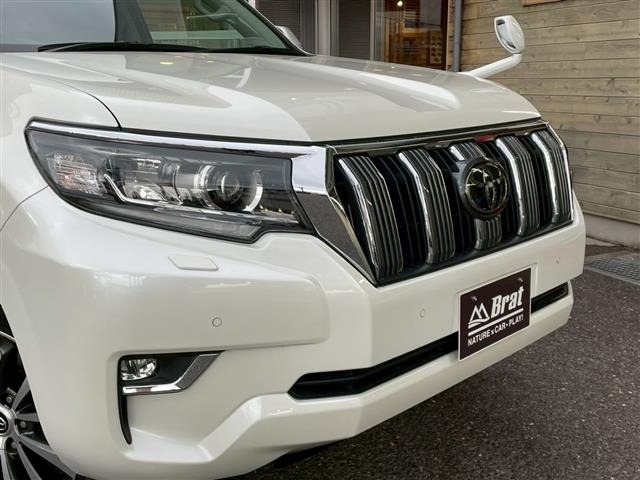 Toyota LAND CRUISER PRADO 2019 7166989-10