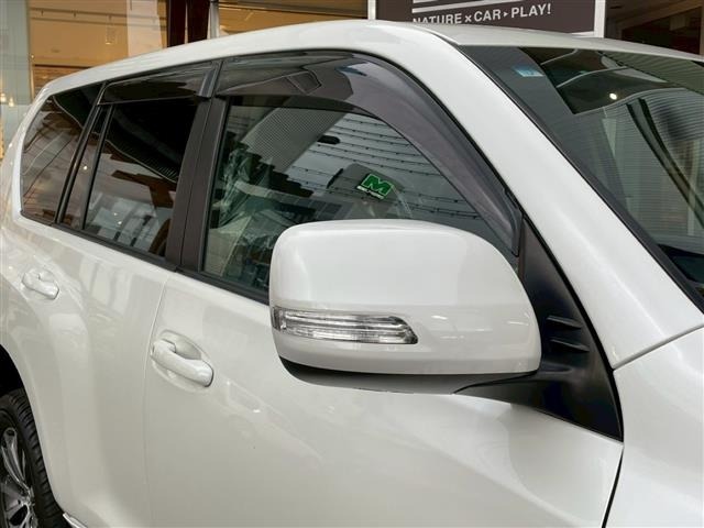 Toyota LAND CRUISER PRADO 2019 7166989-11