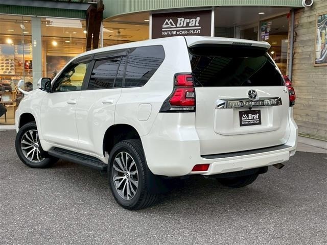 Toyota LAND CRUISER PRADO 2019 7166989-13