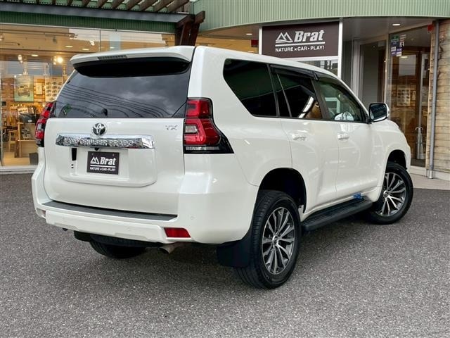 Toyota LAND CRUISER PRADO 2019 7166989-22