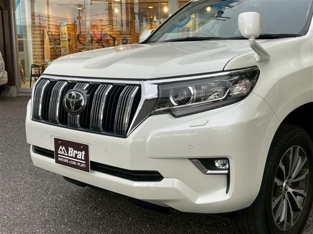 Toyota LAND CRUISER PRADO 2019 7166989-3