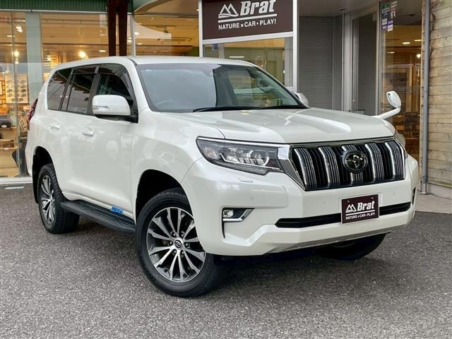 Toyota LAND CRUISER PRADO 2019 7166989-8