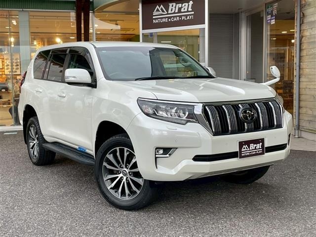 Toyota LAND CRUISER PRADO 2019 7166989-9