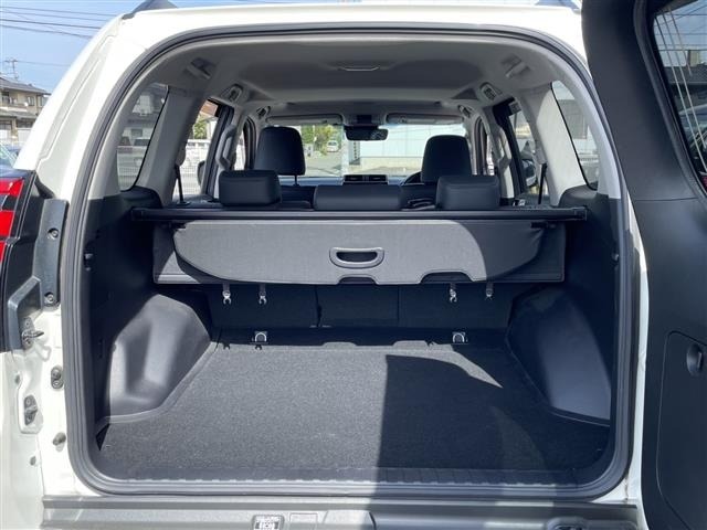 Toyota LAND CRUISER PRADO 2017 7167192-21