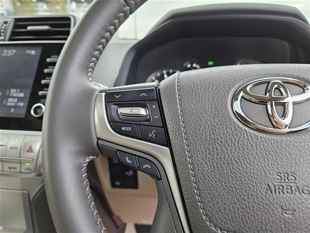 Toyota LAND CRUISER PRADO 2023 7167193-19