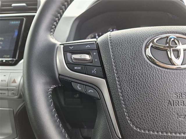 Toyota LAND CRUISER PRADO 2022 7167229-18