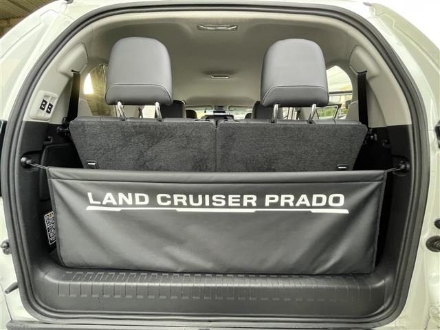 Toyota LAND CRUISER PRADO 2023 7167307-11