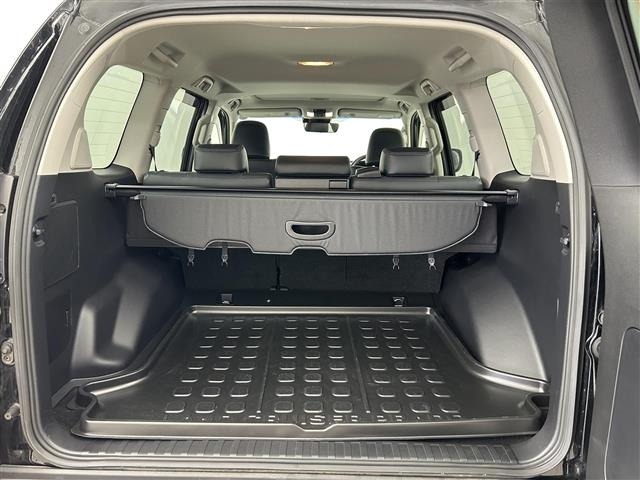 Toyota LAND CRUISER PRADO 2023 7167351-12