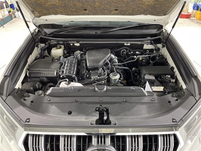 Toyota LAND CRUISER PRADO 2023 7167369-15