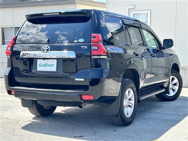 Toyota LAND CRUISER PRADO 2019 7167401-17