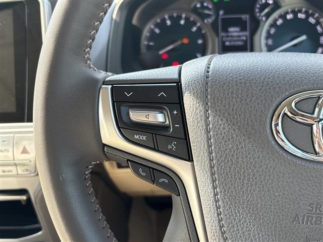Toyota LAND CRUISER PRADO 2023 7167481-19