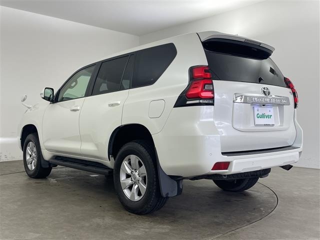 Toyota LAND CRUISER PRADO 2018 7167503-12