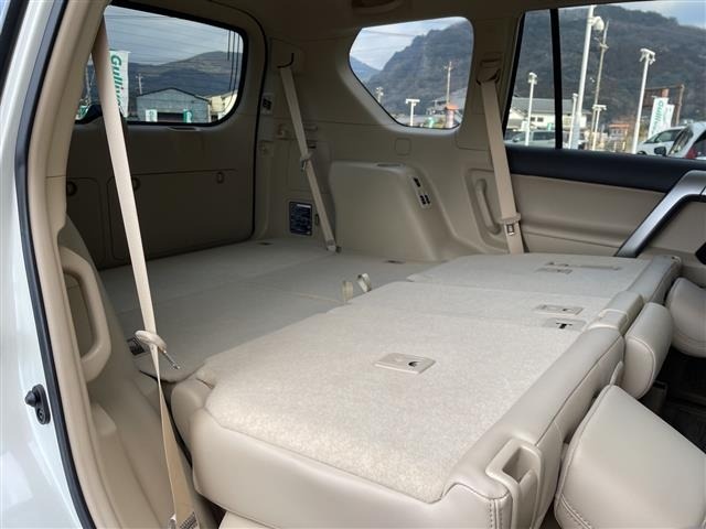 Toyota LAND CRUISER PRADO 2023 7167698-10