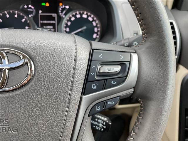 Toyota LAND CRUISER PRADO 2023 7167698-18