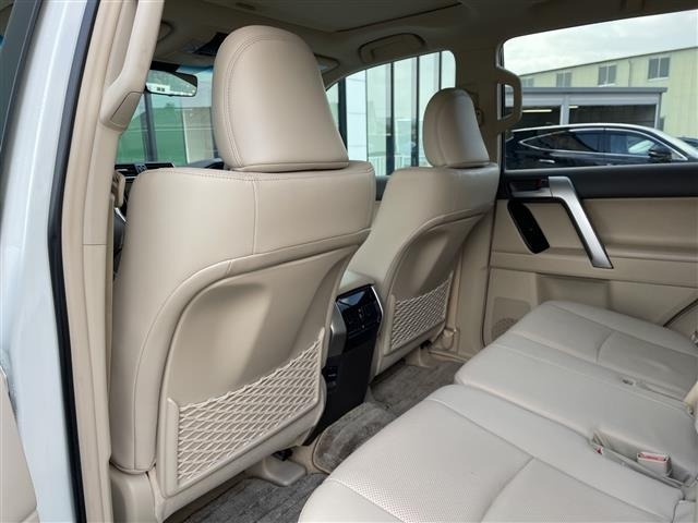Toyota LAND CRUISER PRADO 2023 7167698-20