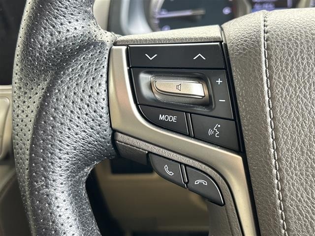 Toyota LAND CRUISER PRADO 2023 7167797-19