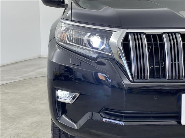 Toyota LAND CRUISER PRADO 2021 7167989-13