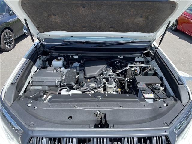 Toyota LAND CRUISER PRADO 2023 7167990-14