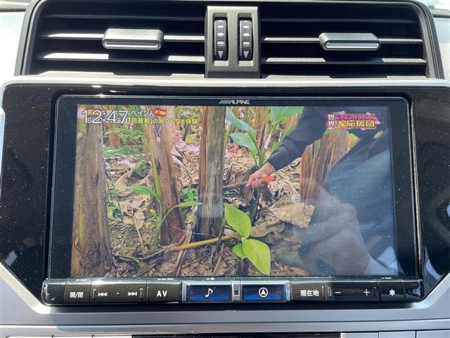 Toyota LAND CRUISER PRADO 2023 7168089-19