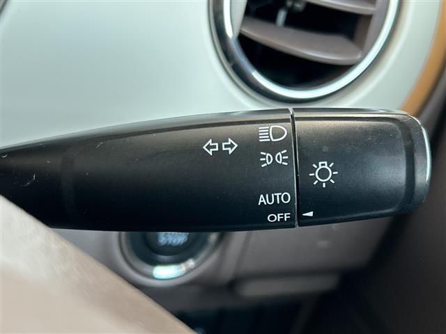 Suzuki LAPIN 2015 7183502-10