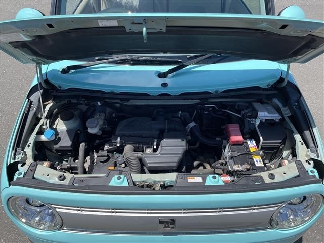 Suzuki LAPIN 2015 7183515-14