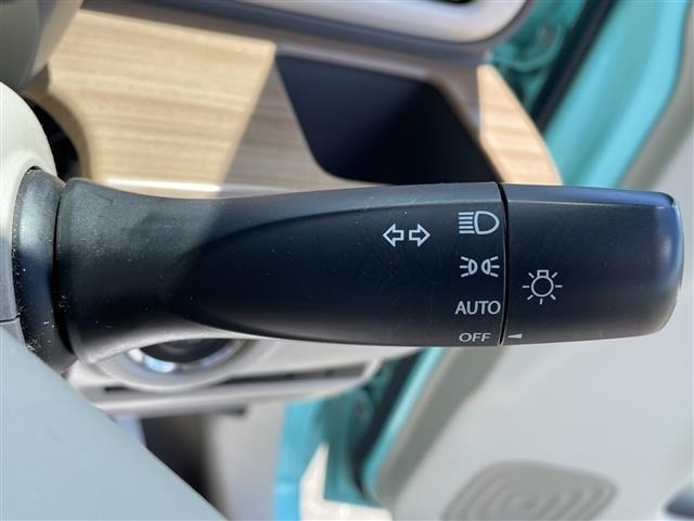 Suzuki LAPIN 2015 7183515-21