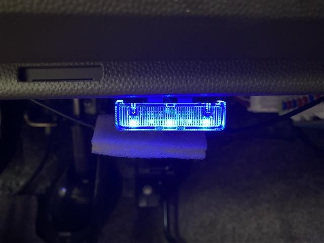Suzuki LAPIN 2014 7183521-11