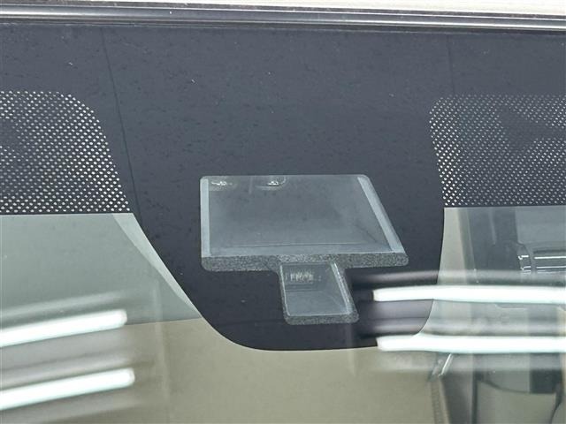 Suzuki LAPIN 2017 7183527-3