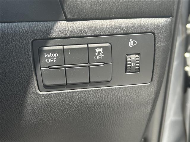 Mazda AXELA 2017 7190111-12