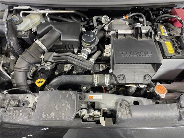 Daihatsu TAFT 2021 7189953-14