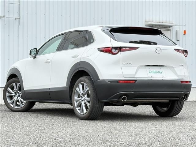 Mazda CX-30 2021 7234944-13