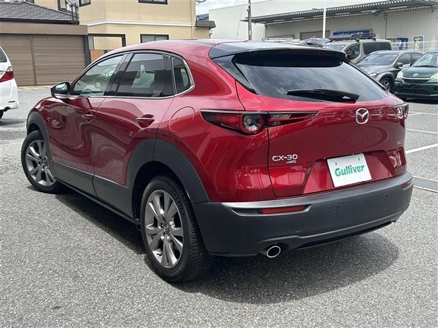 Mazda CX-30 2021 7234945-13