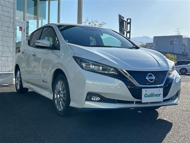 Nissan LEAF 2019 7234701-0