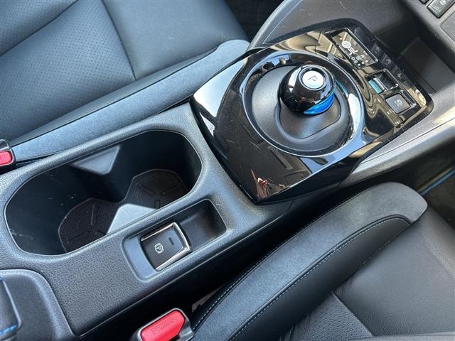 Nissan LEAF 2019 7234701-5