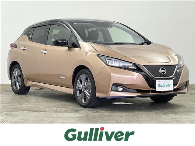 Nissan LEAF 2022 7234704-0