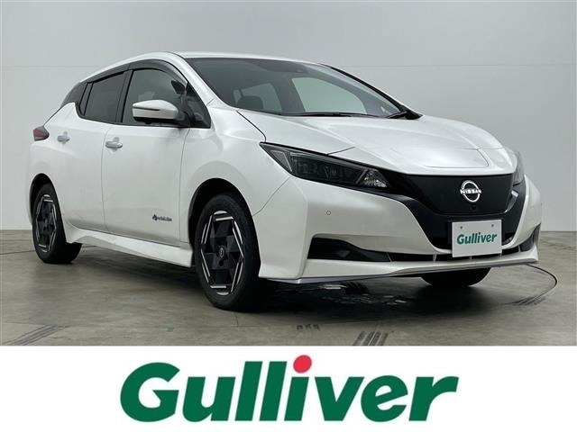 Nissan LEAF 2023 7234711-0