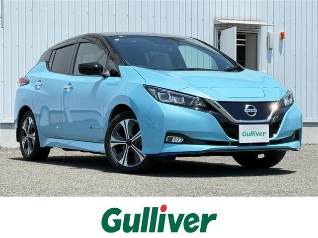 Nissan LEAF 2019 7234721-0