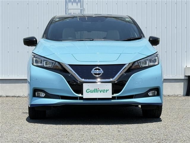 Nissan LEAF 2019 7234721-12