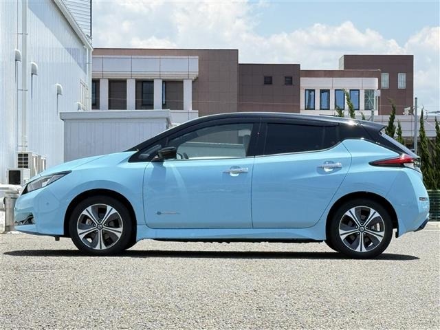 Nissan LEAF 2019 7234721-2